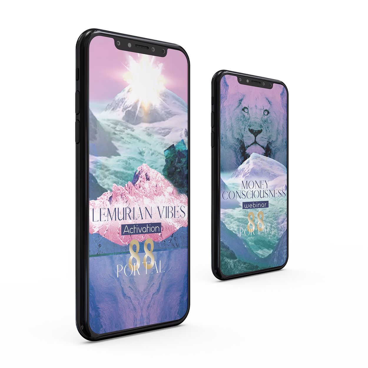 Brand identity Omaha Fried chicken